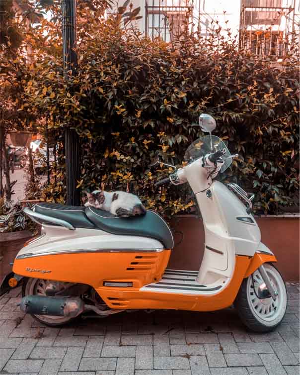 Carte grise scooter